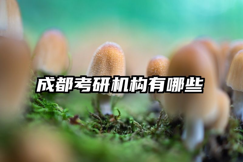 成都考研机构有哪些