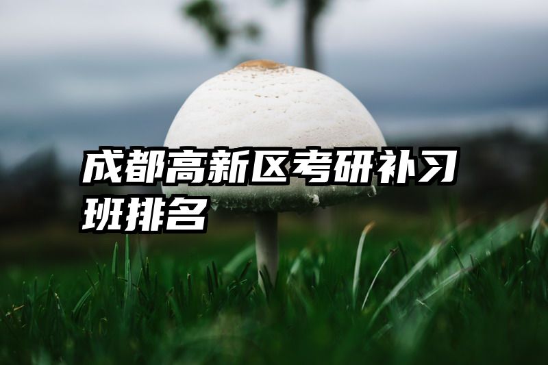 成都高新区考研补习班排名