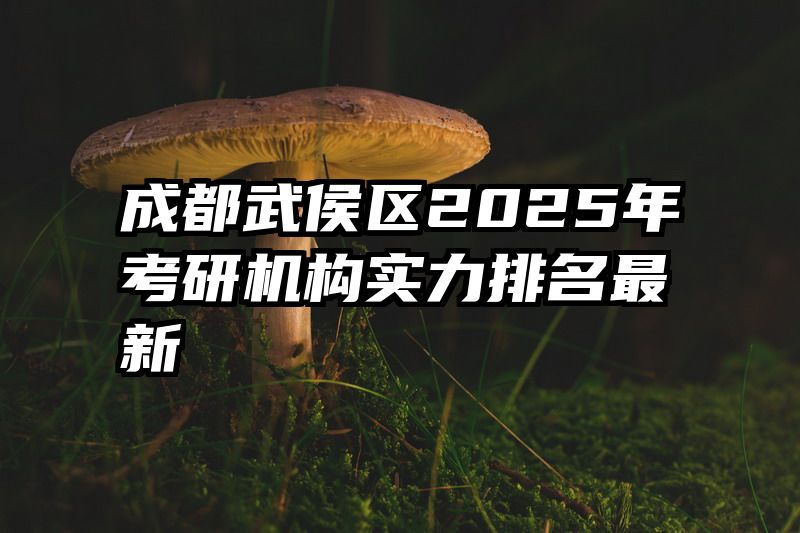 成都武侯区2025年考研机构实力排名最新