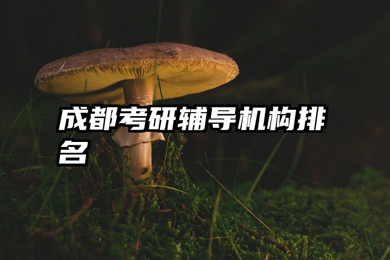 成都考研辅导机构排名
