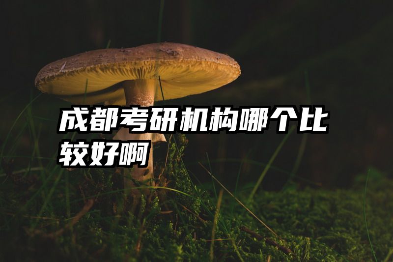 成都考研机构哪个比较好啊