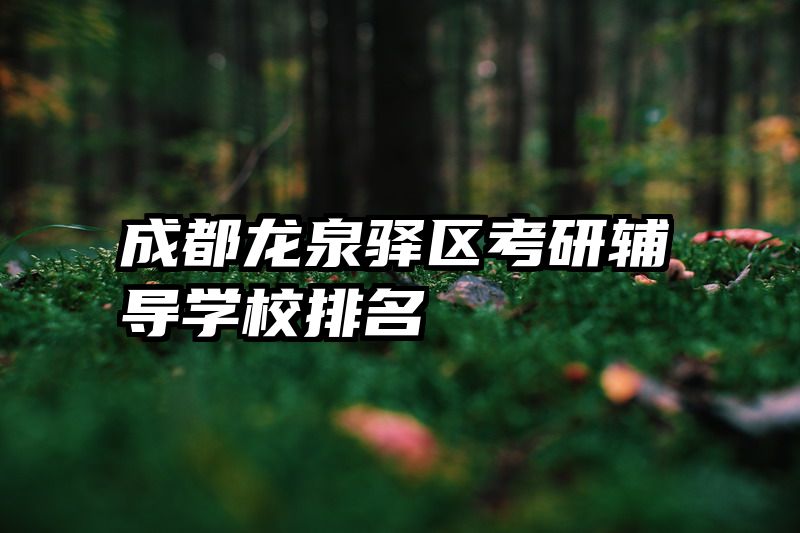 成都龙泉驿区考研辅导学校排名