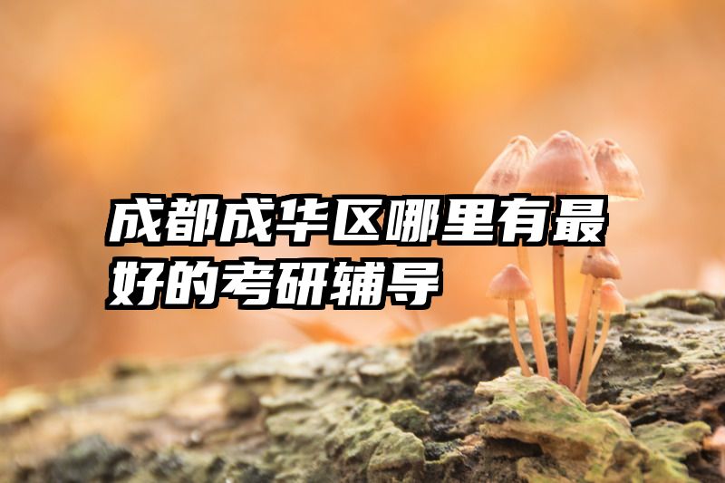 成都成华区哪里有最好的考研辅导