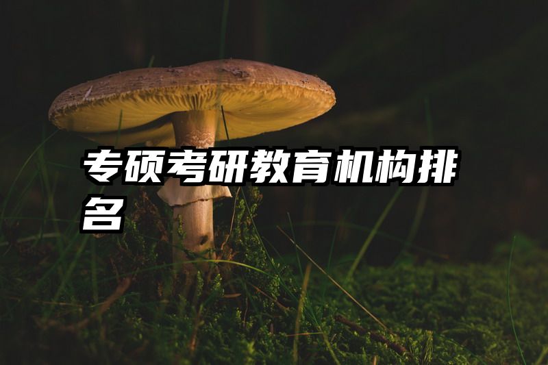 专硕考研教育机构排名