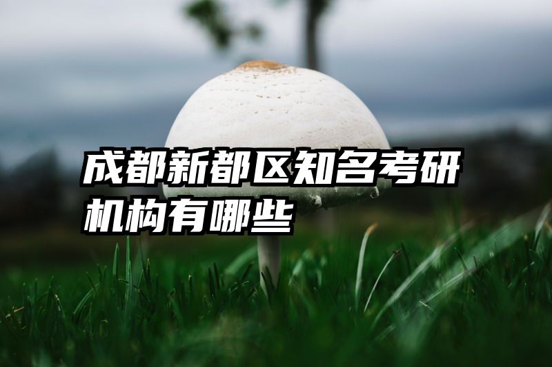 成都新都区知名考研机构有哪些