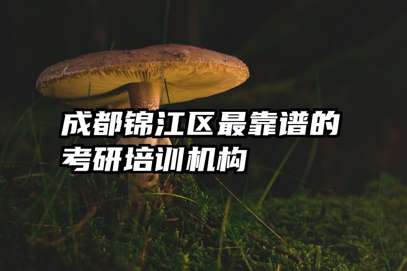 成都锦江区最靠谱的考研培训机构