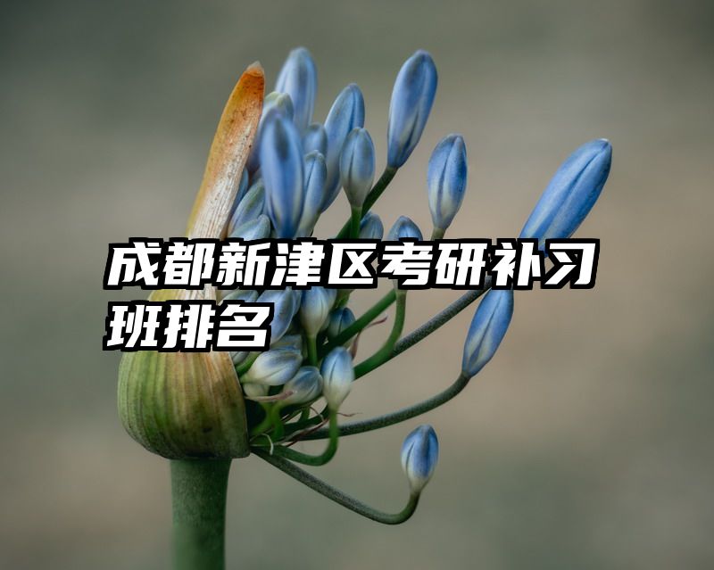 成都新津区考研补习班排名