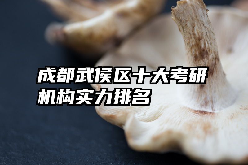 成都武侯区十大考研机构实力排名