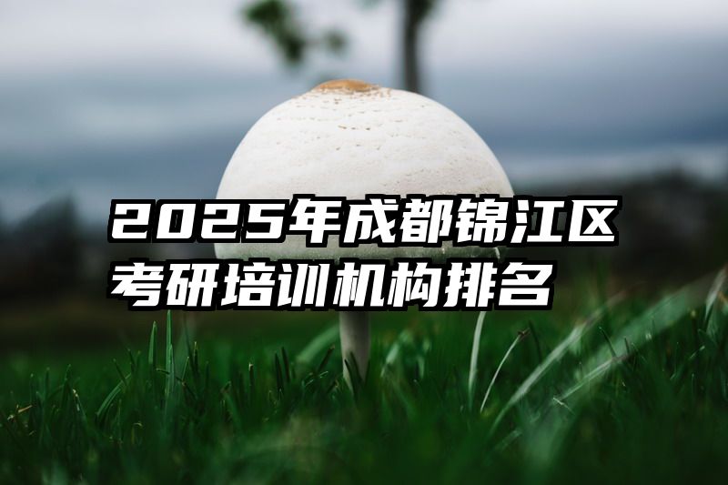 2025年成都锦江区考研培训机构排名