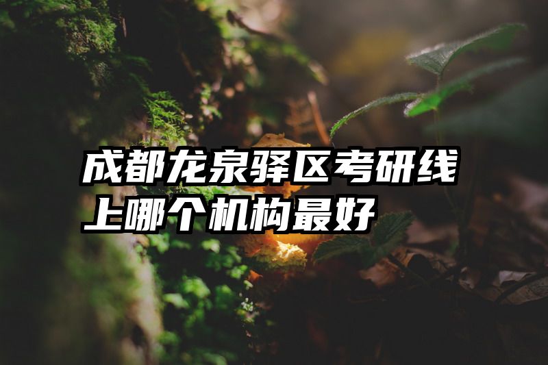 成都龙泉驿区考研线上哪个机构最好