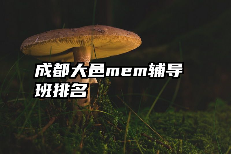成都大邑mem辅导班排名