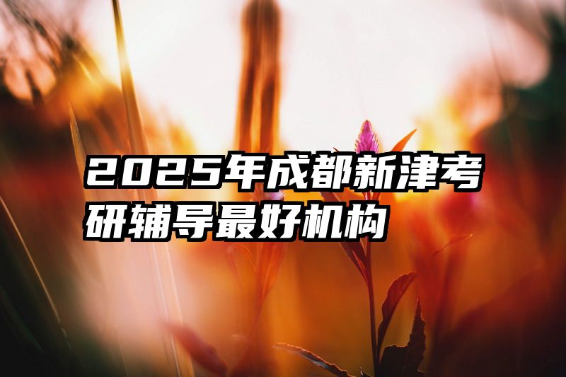 2025年成都新津考研辅导最好机构