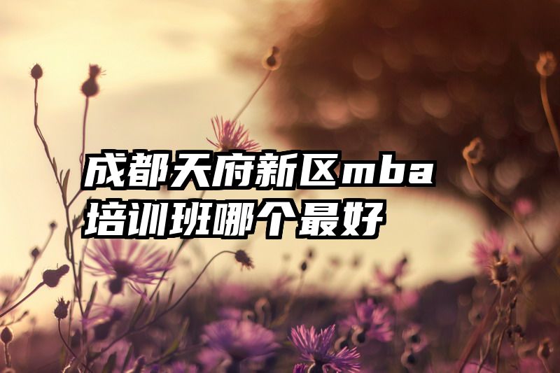 成都天府新区mba培训班哪个最好