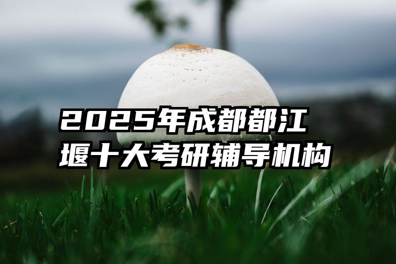 2025年成都都江堰十大考研辅导机构