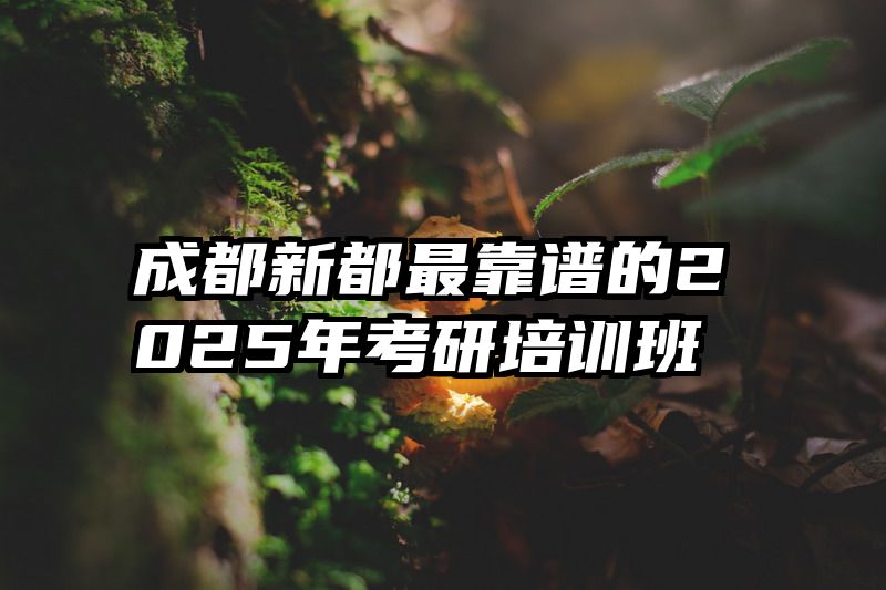 成都新都最靠谱的2025年考研培训班