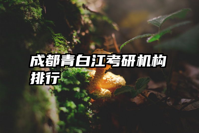 成都青白江考研机构排行