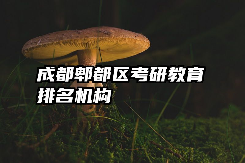 成都郫都区考研教育排名机构