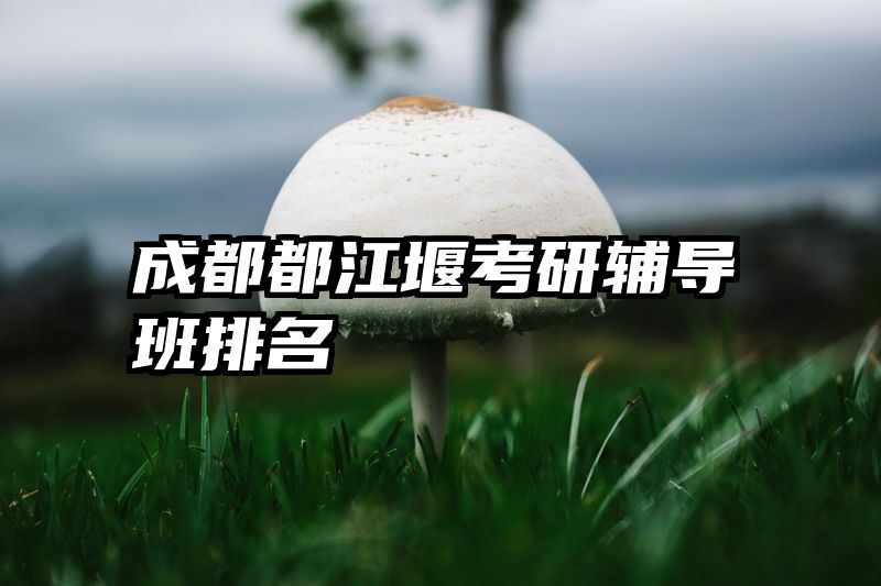 成都都江堰考研辅导班排名