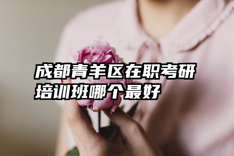 成都青羊区在职考研培训班哪个最好