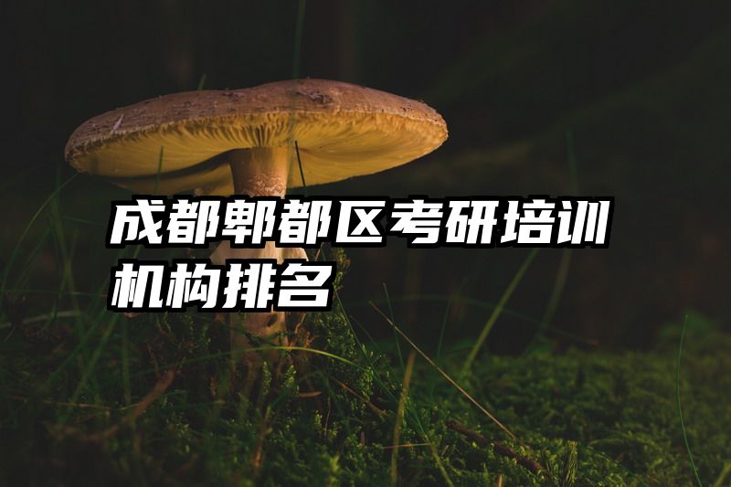 成都郫都区考研培训机构排名