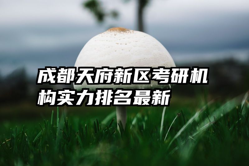 成都天府新区考研机构实力排名最新