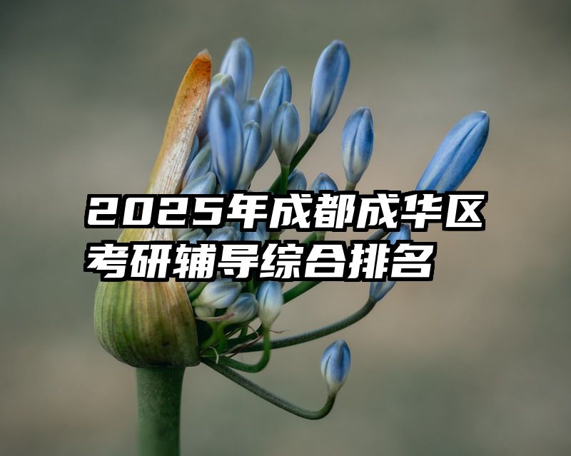 2025年成都成华区考研辅导综合排名