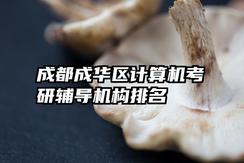 成都成华区计算机考研辅导机构排名