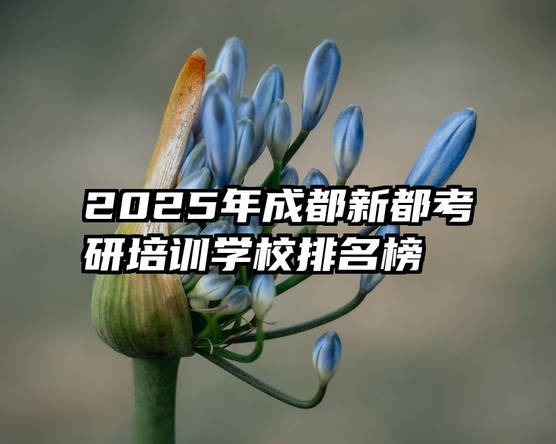 2025年成都新都考研培训学校排名榜