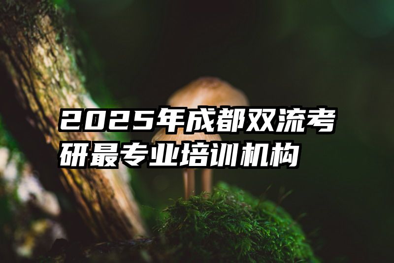 2025年成都双流考研最专业培训机构