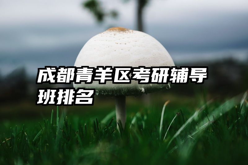 成都青羊区考研辅导班排名