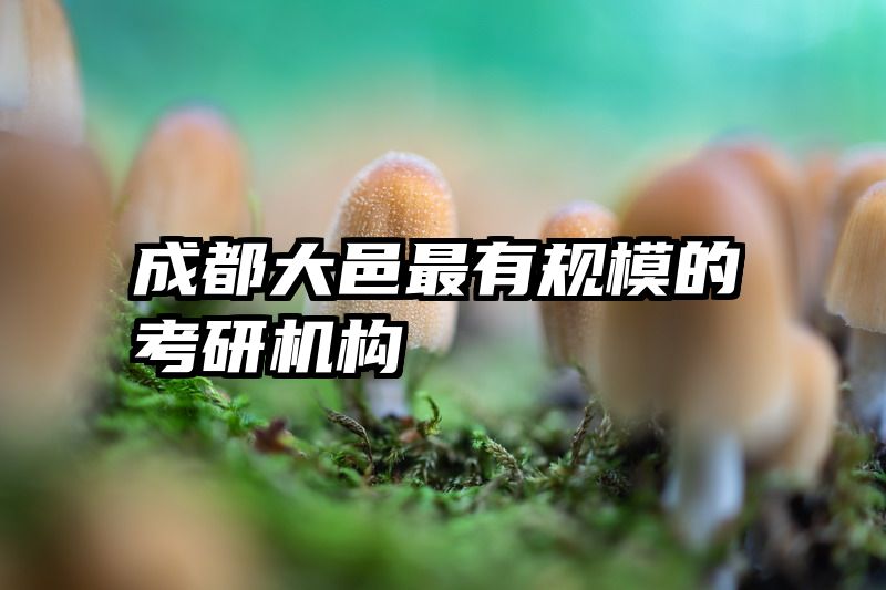成都大邑最有规模的考研机构