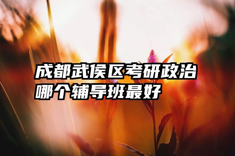 成都武侯区考研政治哪个辅导班最好