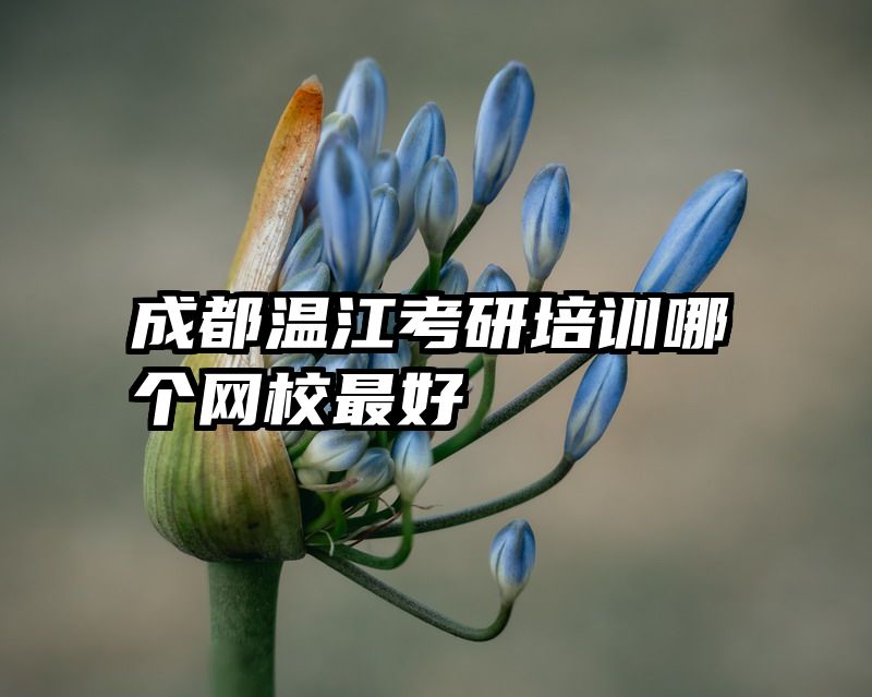 成都温江考研培训哪个网校最好