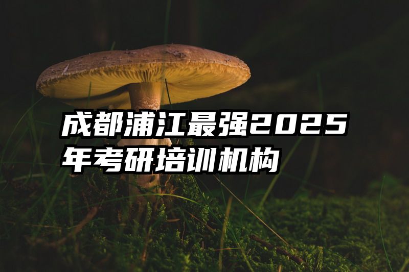 成都浦江最强2025年考研培训机构