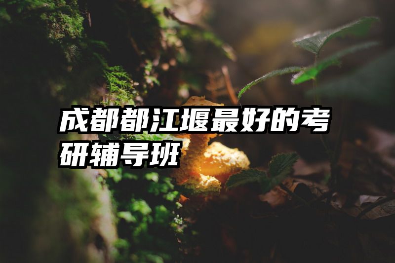 成都都江堰最好的考研辅导班