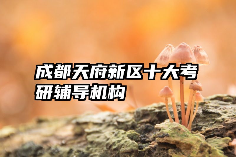 成都天府新区十大考研辅导机构