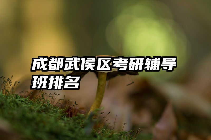 成都武侯区考研辅导班排名