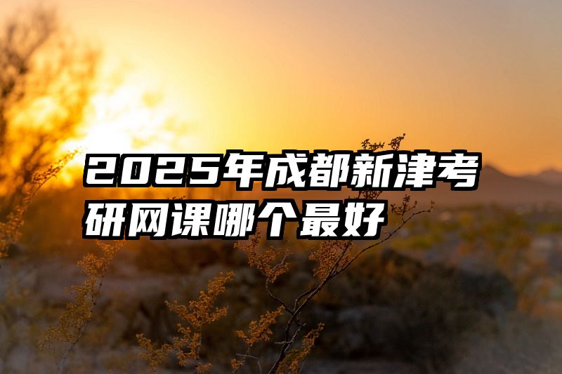 2025年成都新津考研网课哪个最好