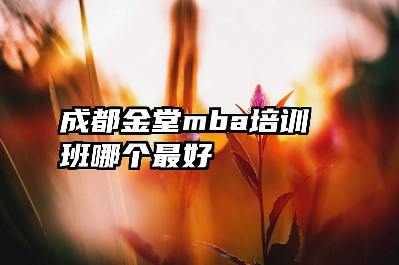 成都金堂mba培训班哪个最好
