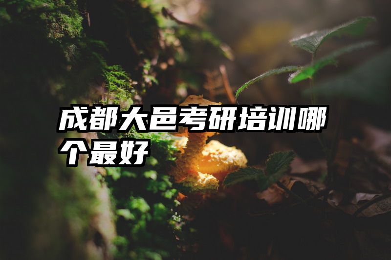 成都大邑考研培训哪个最好