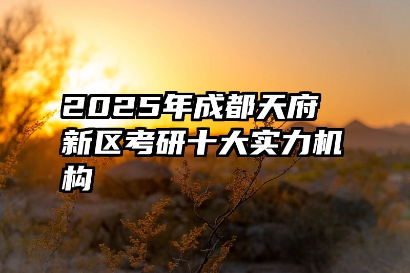 2025年成都天府新区考研十大实力机构