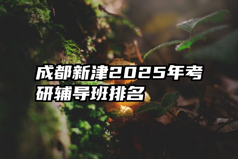 成都新津2025年考研辅导班排名