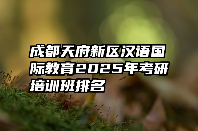 成都天府新区汉语国际教育2025年考研培训班排名
