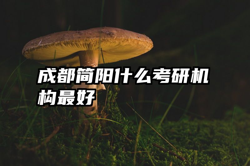 成都简阳什么考研机构最好
