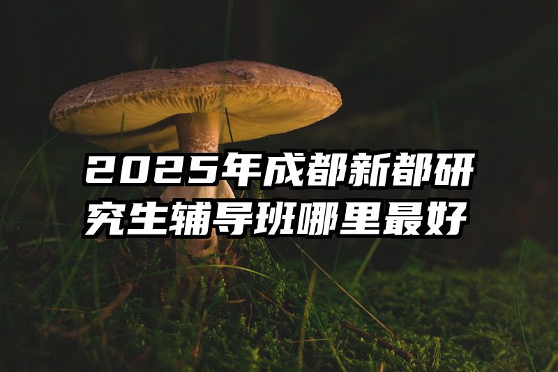 2025年成都新都研究生辅导班哪里最好