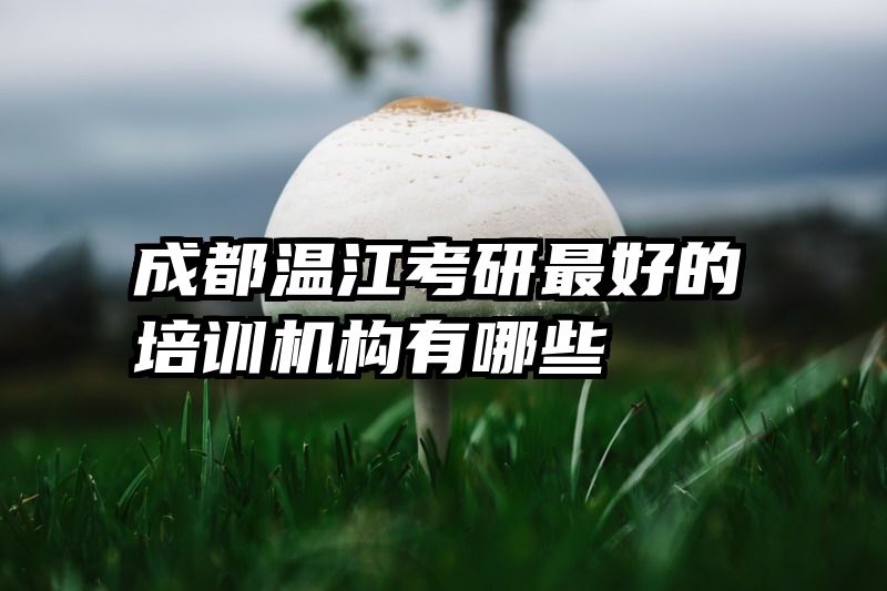 成都温江考研最好的培训机构有哪些