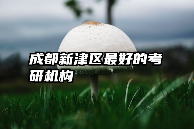 成都新津区最好的考研机构