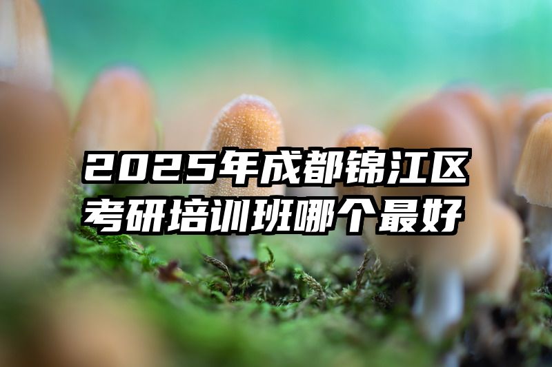 2025年成都锦江区考研培训班哪个最好