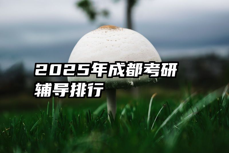 2025年成都考研辅导排行
