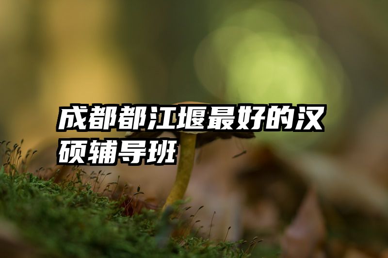 成都都江堰最好的汉硕辅导班